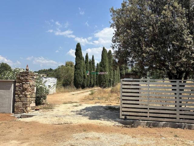 Appartamento in vendita a Lumiere, Campiglia Marittima