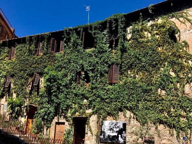 Appartamento in vendita a Campiglia Marittima, Toscana