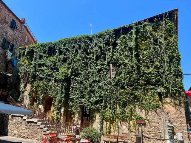 Appartamento in vendita a Campiglia Marittima, Toscana