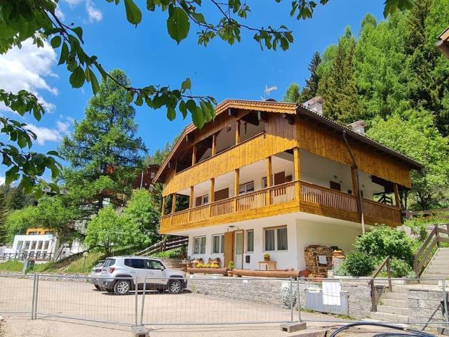 Appartamento in vendita a Comun General de Fascia, Campitello Di Fassa