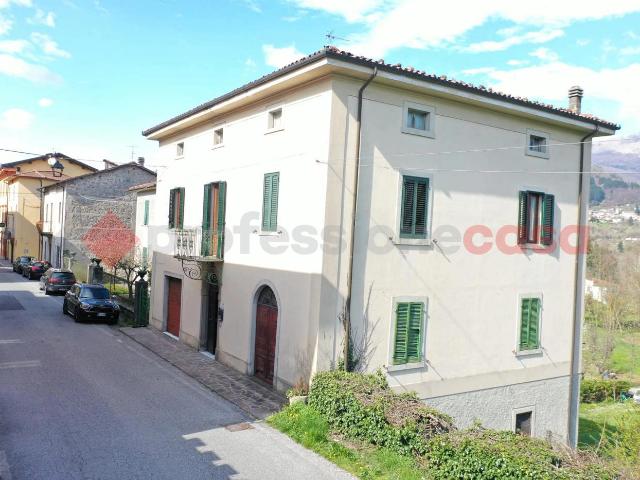 Villa Indipendente in vendita a Unione Comuni Garfagnana, Camporgiano