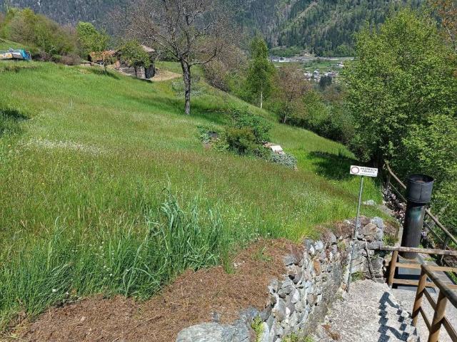 Appartamento in vendita a Comunità di Primiero, Canal San Bovo
