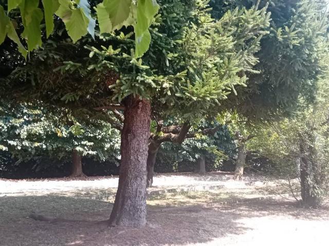 Appartamento in vendita a Mirabello, Cantù