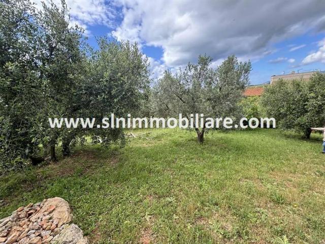 Appartamento in vendita a Giardino, Capalbio