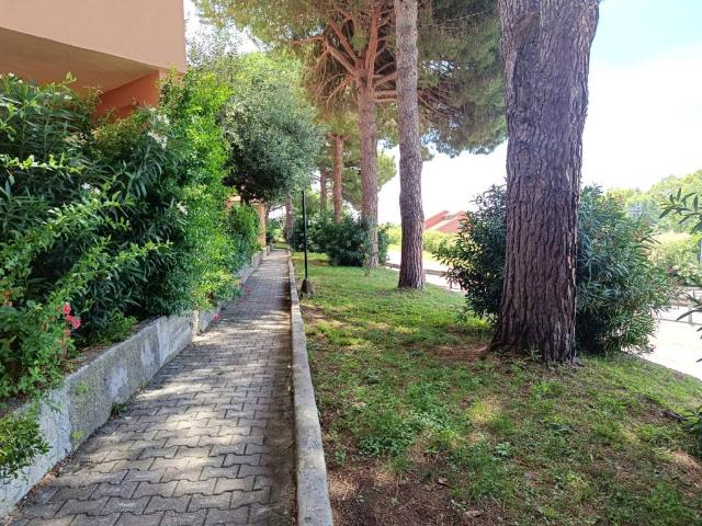 Appartamento in vendita a Capalbio, Toscana