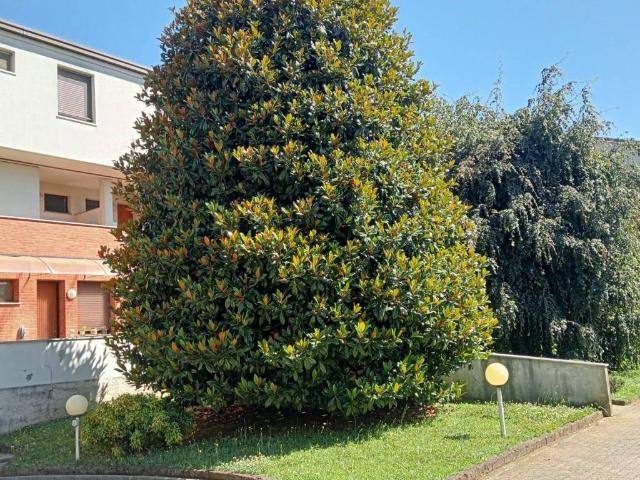Appartamento in vendita a Carate Brianza, Lombardia