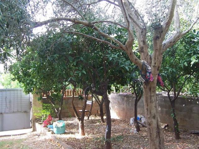 Appartamento in vendita a Rosmarino, Carbonia