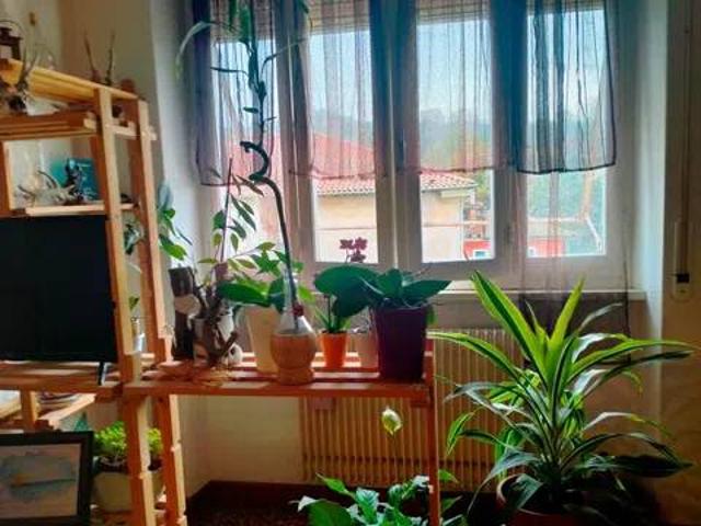Appartamento in vendita a Carcare, Liguria