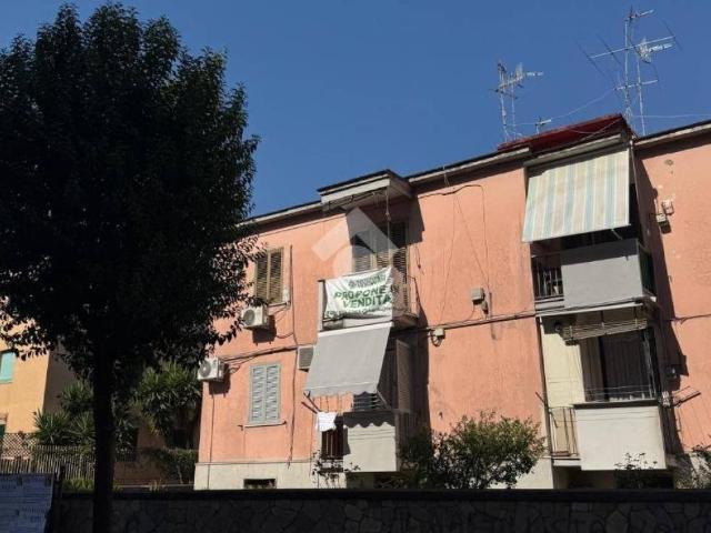 Appartamento in vendita a Cardito, Campania