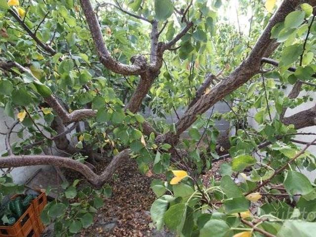 Appartamento in vendita a Puglia, Taranto