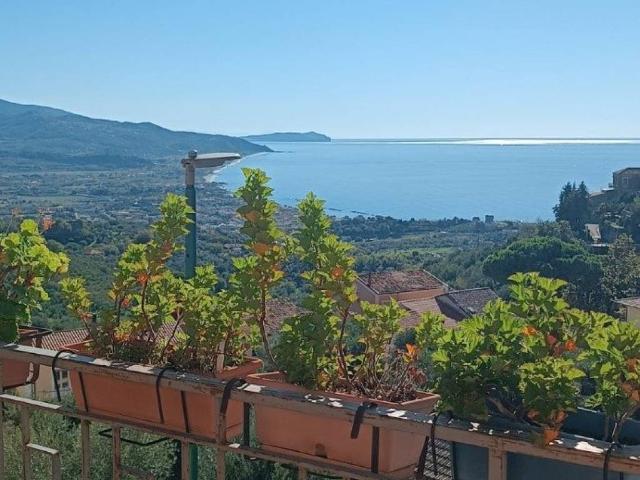 Appartamento in vendita a Casal Velino Marina, Campania