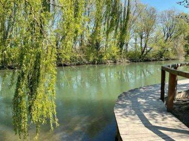 Appartamento in affitto a Casale Sul Sile, Veneto