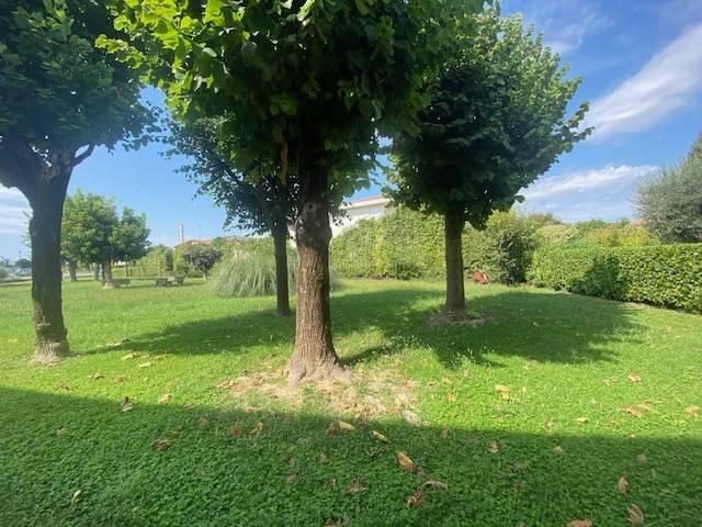 Appartamento in vendita a Casale sul Sile, Treviso