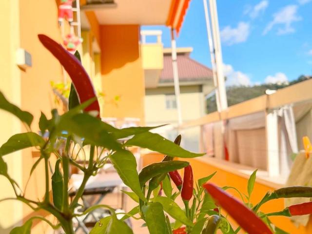 Appartamento in vendita a Verici inferiore, Casarza Ligure