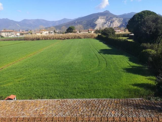 Appartamento in vendita a San Giorgio a Bibbiano, Cascina