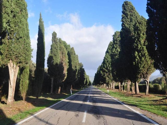 Appartamento in vendita a Bolgheri, Toscana