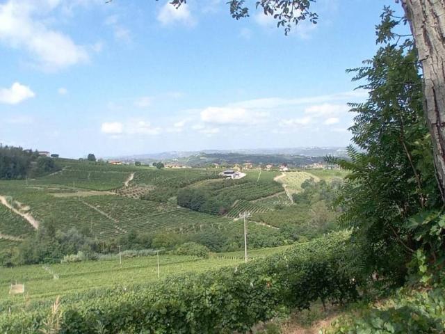 Appartamento in vendita a Castagnole delle Lanze, Piemonte