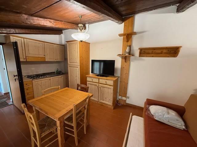 Appartamento in vendita a Unione dei Comuni Montani Amiata Grossetana, Castel Del Piano
