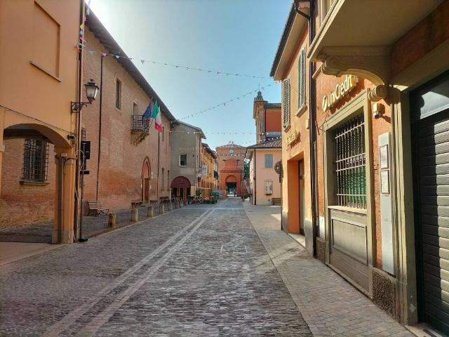 Appartamento in vendita a Nuovo Circondario Imolese, Castel Guelfo Di Bologna