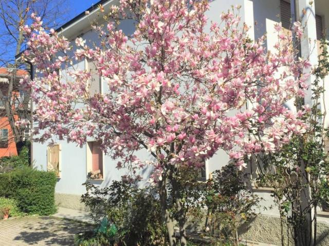 Appartamento in vendita a Osteria Grande, Castel San Pietro Terme