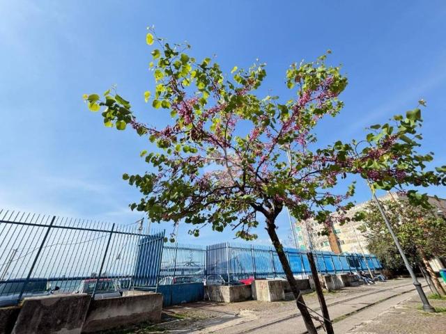 Appartamento in vendita a Castellammare Di Stabia, Campania