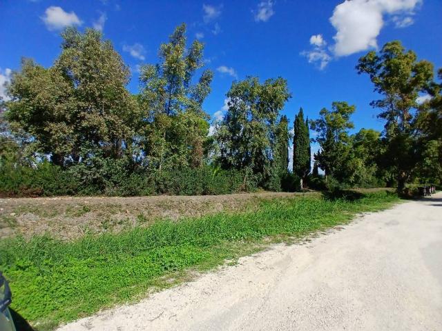 Appartamento in vendita a Città del Catalano, Puglia