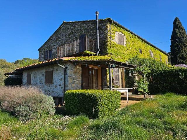 Rustico in vendita a Castellina Marittima, Toscana