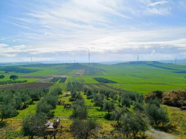 Appartamento in vendita a Zona Artigianale, Castelluccio dei Sauri