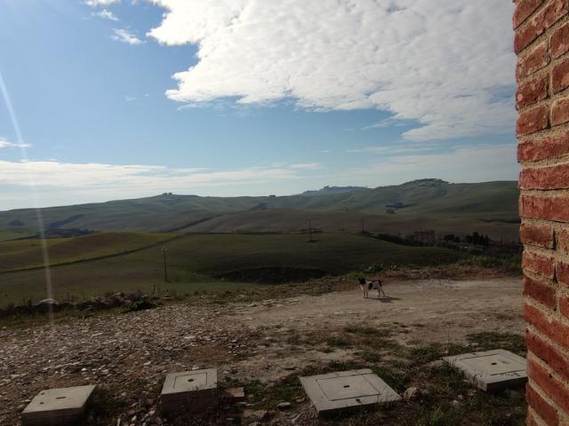 Appartamento in vendita a Castelnuovo Berardenga, Toscana