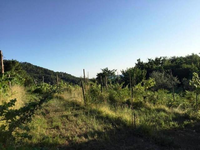 Appartamento in vendita a Unione di comuni Montana Lunigiana, Castelnuovo Magra