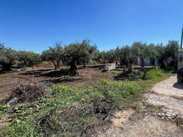Appartamento in vendita a Castelvetrano, Sicilia