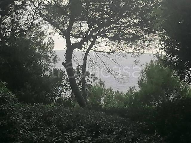 Appartamento in vendita a Chioma, Rosignano Marittimo