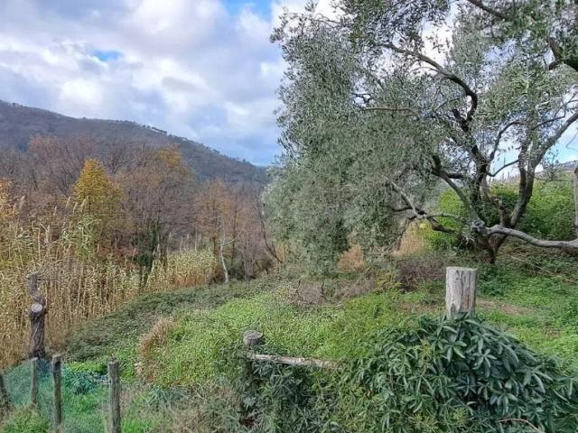 Appartamento in vendita a Castiglione Chiavarese, Liguria