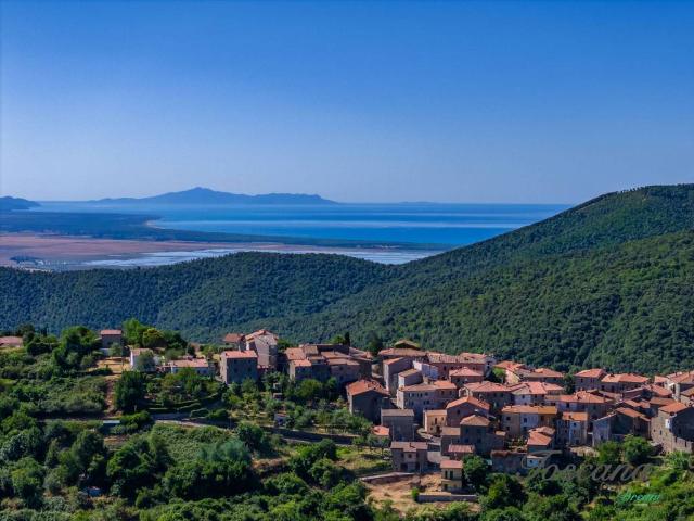Appartamento in vendita a Castiglione Della Pescaia, Toscana