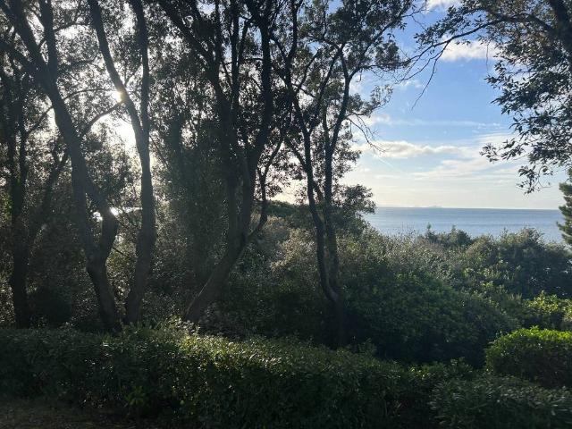 Appartamento in vendita a Castiglione Della Pescaia, Toscana