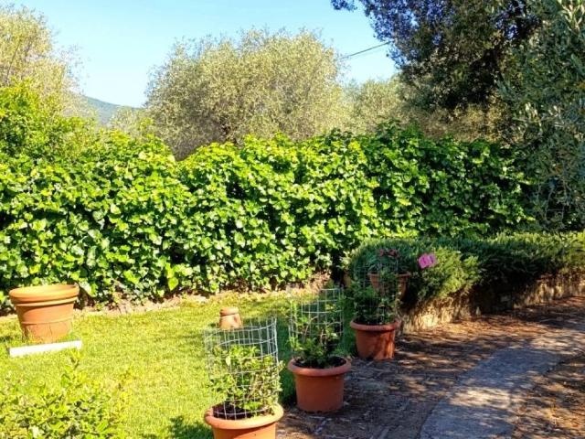 Appartamento in vendita a Ampio, Castiglione della Pescaia