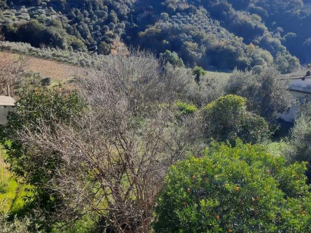Appartamento in vendita a Calabria, Reggio Calabria