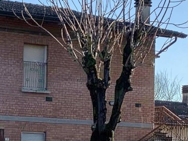 Appartamento in vendita a Cavriago-San Nicolò, Cavriago