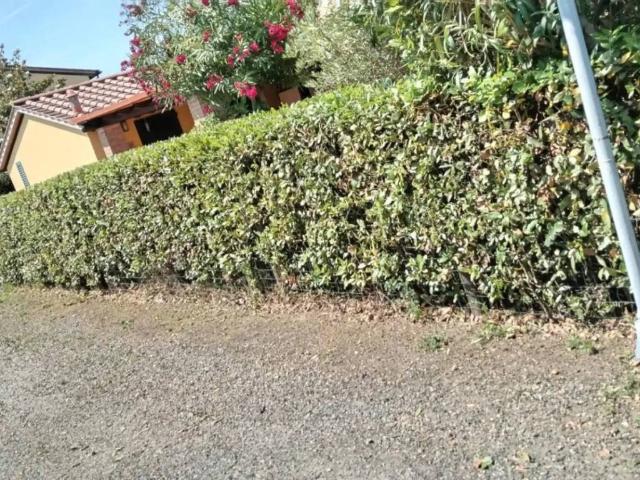 Appartamento in vendita a Cecina, Toscana