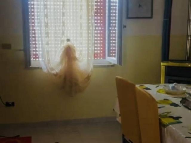 Appartamento in vendita a Centola, Campania