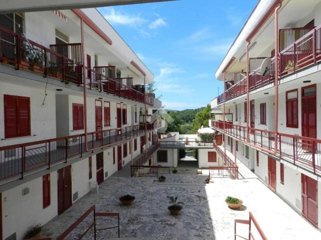 Appartamento in vendita a Centola, Campania
