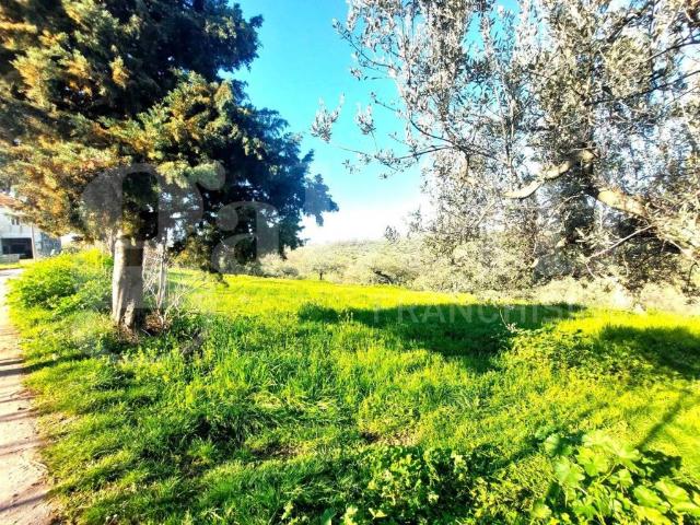 Appartamento in vendita a Rosciano, Abruzzo