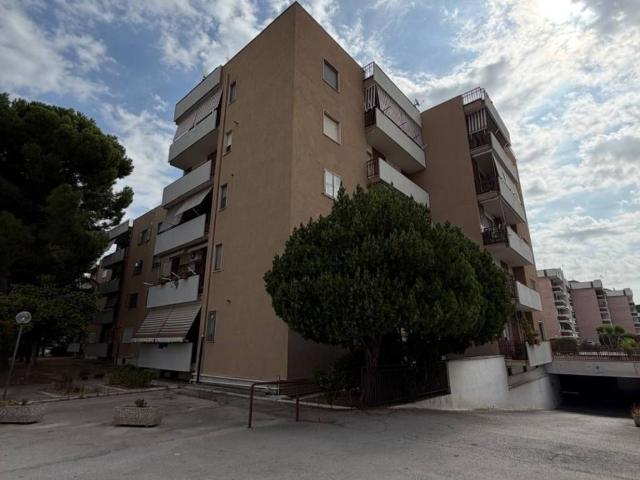 Appartamento in vendita a Cerignola, Foggia
