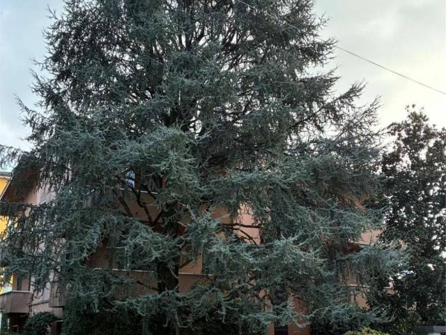 Appartamento in vendita a Cernusco Sul Naviglio, Lombardia