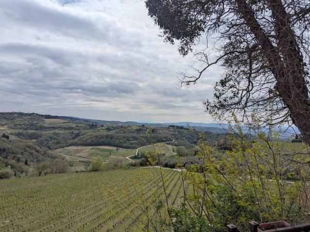 Appartamento in vendita a Unione dei Comuni Circondario dell'Empolese Valdelsa, Lucardo