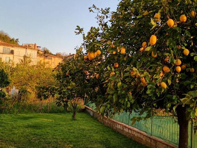 Appartamento in vendita a Cervaro, Lazio