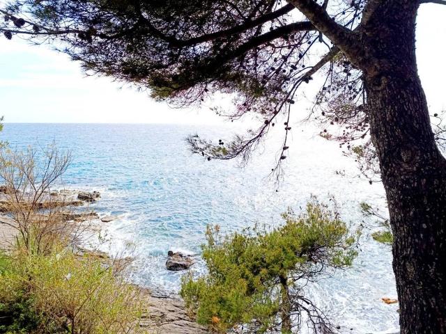 Appartamento in vendita a Capo Mimosa, Cervo