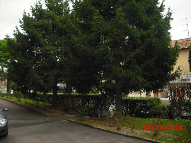 Appartamento in vendita a Cesana Brianza, Lombardia