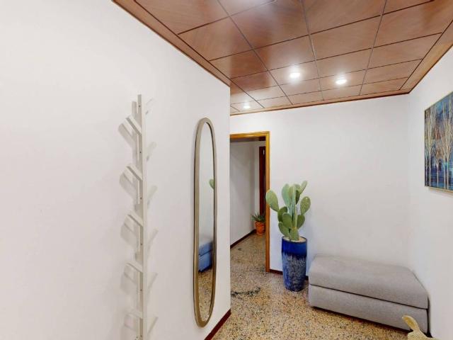Appartamento in vendita a Marche, Ancona