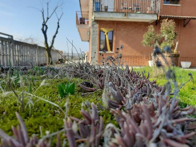 Appartamento in vendita a Maddalene, Piemonte